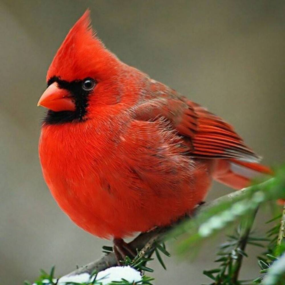 Meet your Posher, Sandy